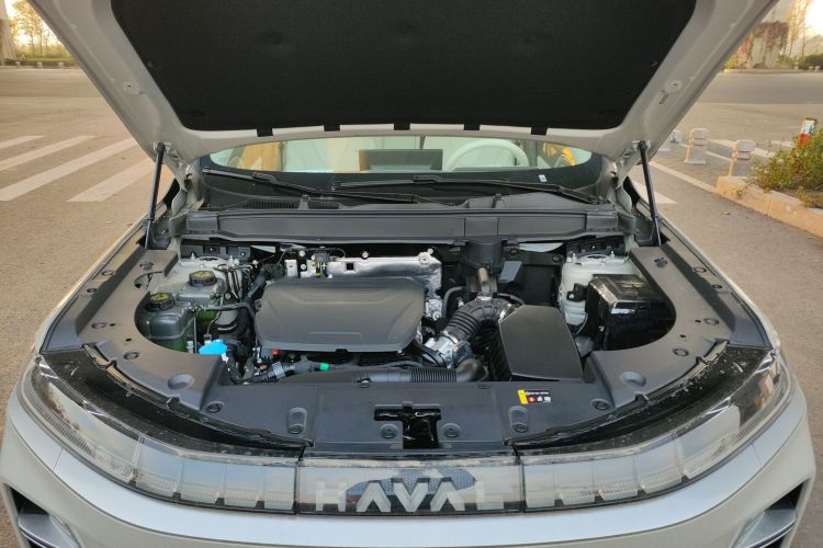 Haval Fierce Dragon MAX 2025 car image #20