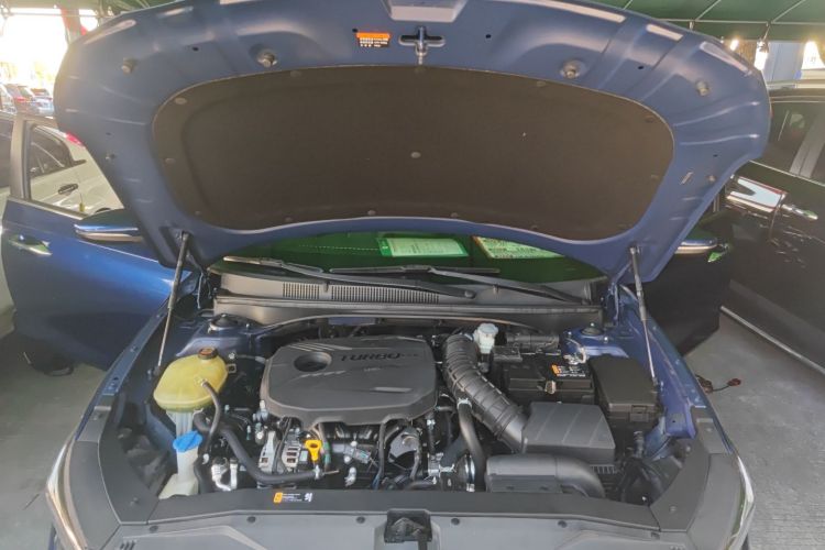 Hyundai Lafesta 2020 car image #20