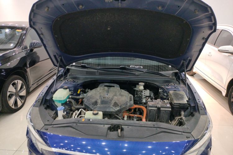 Hyundai Lafesta EV 2020 car image #20