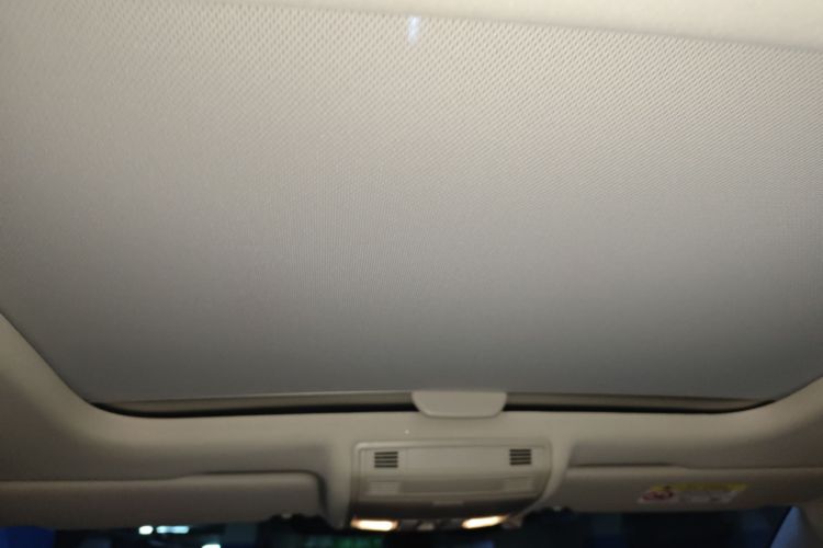 Volkswagen Golf Pure Electric 2020 imagen de coche #20