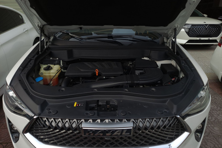 Haval F7 2020 image de voiture #20
