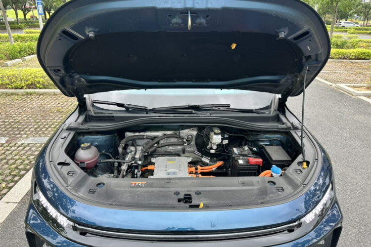 睿蓝汽车 睿蓝9 2023 汽车图片 #20