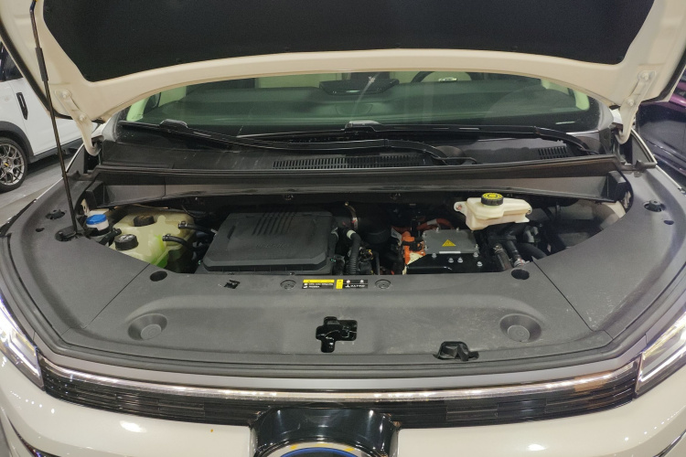 GAC Trumpchi E9 2023 imagen de coche #20