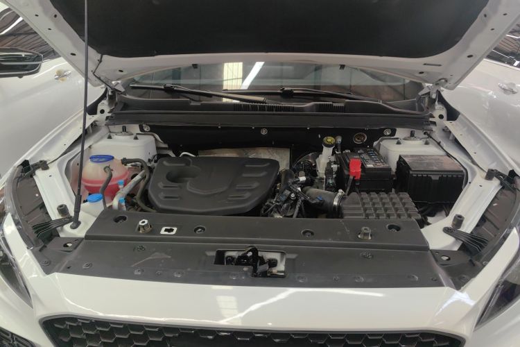 Soueast DX8 S 2023 car image #20