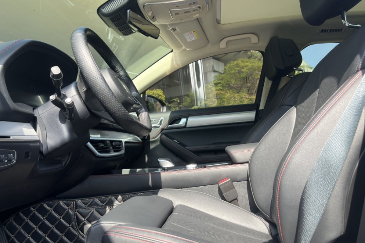 BYD Tang New Energy 2019 car image #20