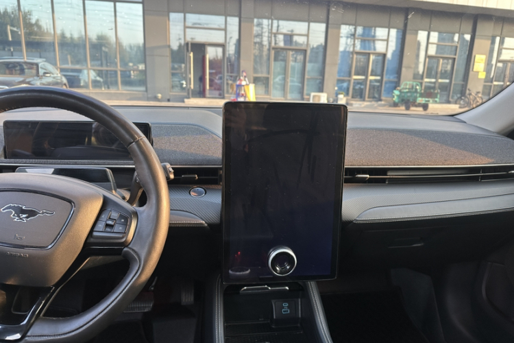 Ford Mustang Mach-E 2023 #20 Ford Mustang Mach-E 2023 car image #20