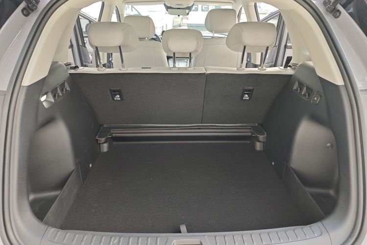 BYD Sea Lion 05 EV 2025 car image #20