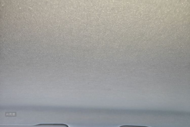 Santana 2019 #20 Santana 2019 immagine di auto #20