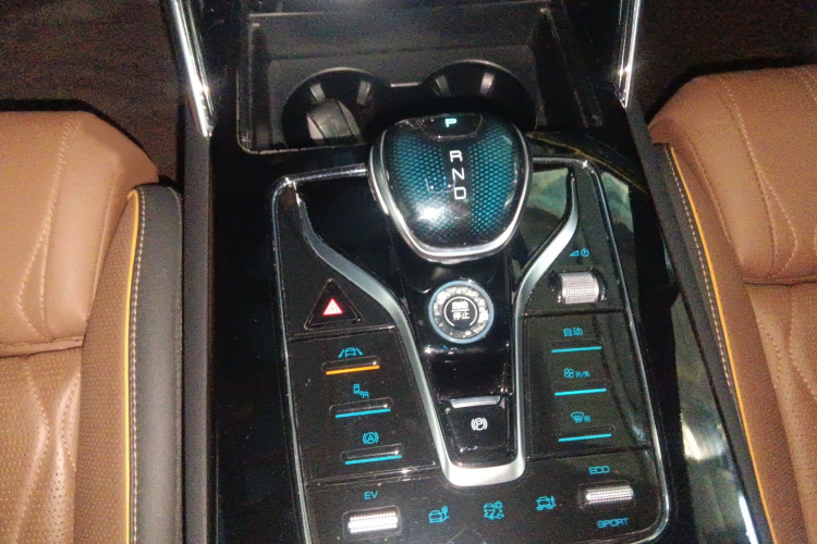 BYD Tang New Energy 2021 immagine di auto #20
