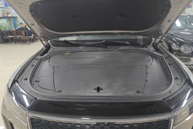 Li One 2020 imagem de carro #20