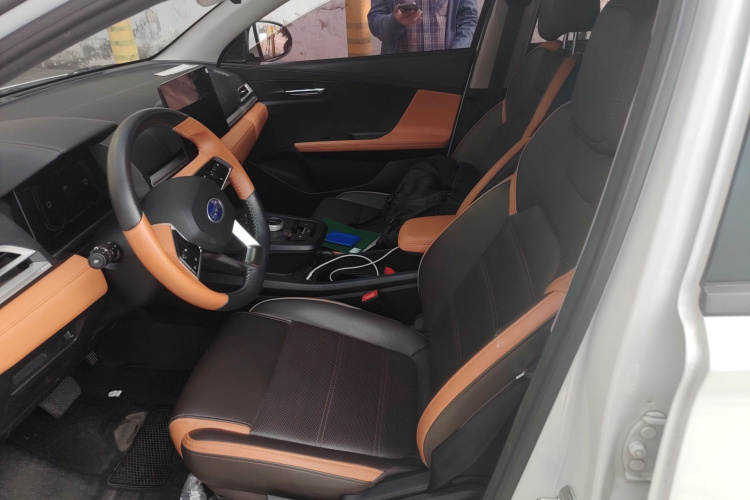 BYD e2 2020 #20 BYD e2 2020 imagen de coche #20