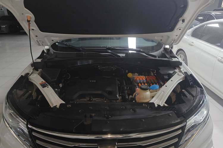 Roewe RX5 New Energy 2018 изображение автомобиля #20