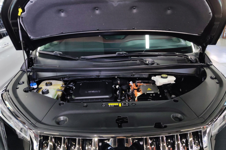 GAC Trumpchi E9 2023 car image #20