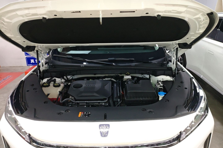 Roewe D5X DMH 2024 imagen de coche #20