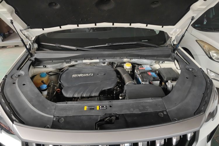 GAC Trumpchi GS4 PLUS 2021 car image #20