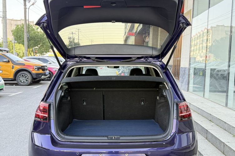 Volkswagen Golf Pure Electric 2020 #20 Volkswagen Golf Pure Electric 2020 car image #20