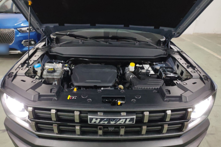 Haval Dargo 2022 #20 Haval Dargo 2022 car image #20