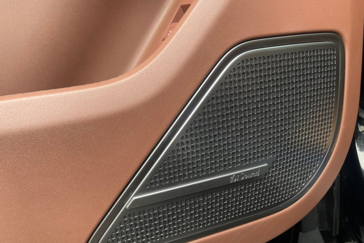 BYD Xia 2024 immagine di auto #20