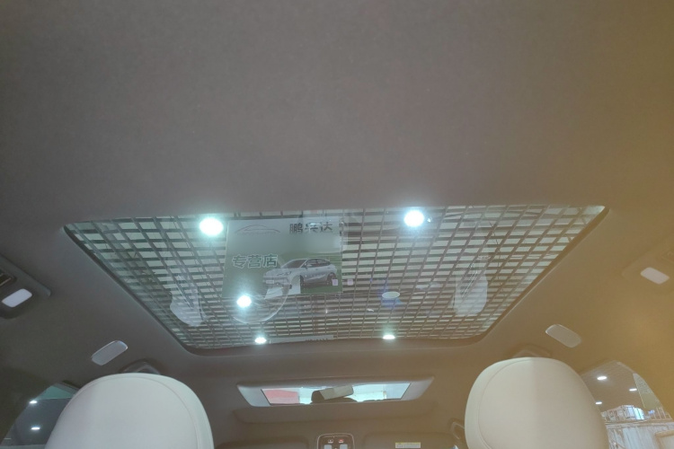 Deepal S09 2025 car image #20