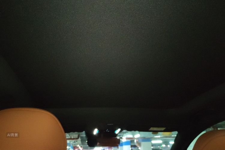 BYD Tang L 2025 car image #20