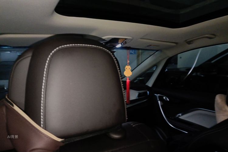 GEELY JiaJi New Energy 2019 car image #20