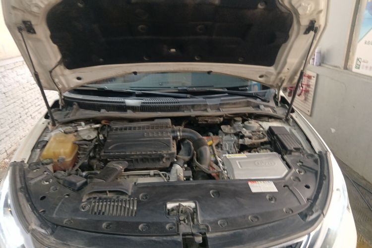 BYD Qin New Energy 2018 car image #20