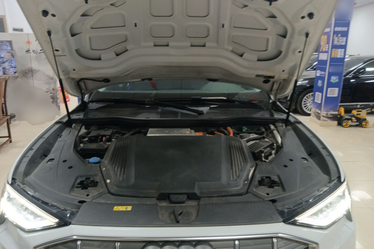 Audi e-tron (Imported) 2020 car image #20