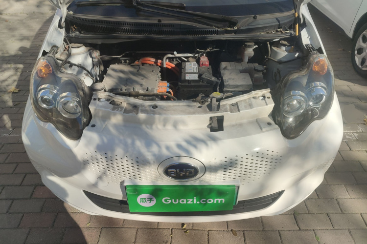 BYD e1 2019 car image #20