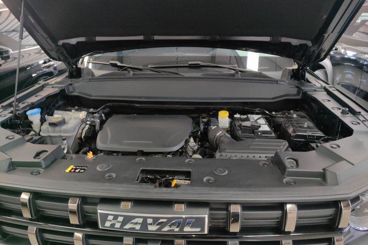 Haval Dargo 2023 car image #20