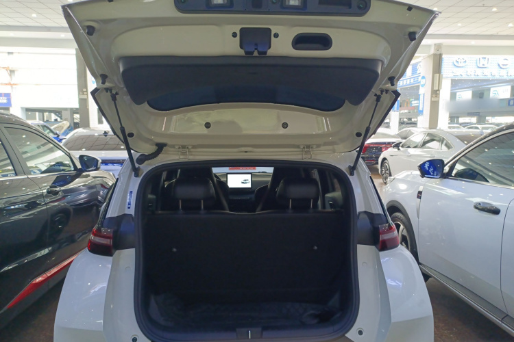 BYD Seagull 2024 car image #20