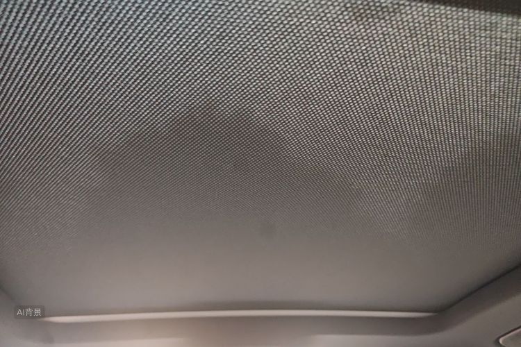 Audi Q5L 2024 car image #20