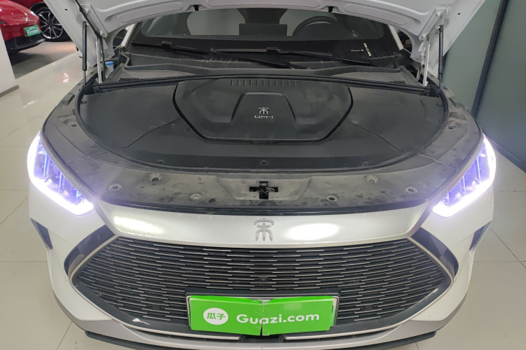 比亚迪 宋PLUS新能源 2022 汽车图片 #20