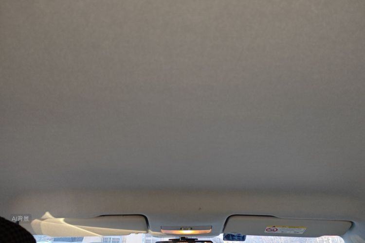 桑塔纳 2020 汽车图片 #20