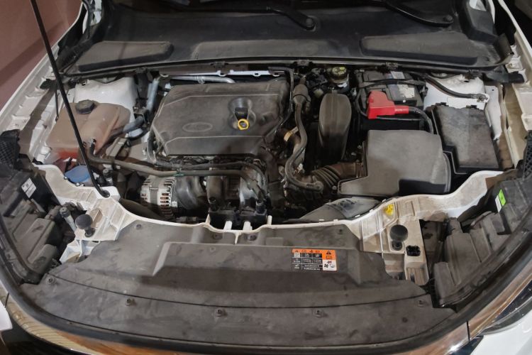 Ford Escort 2021 car image #20