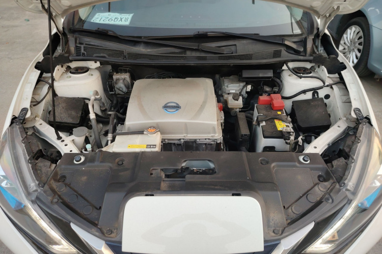 日产 轩逸·纯电 2019 汽车图片 #20