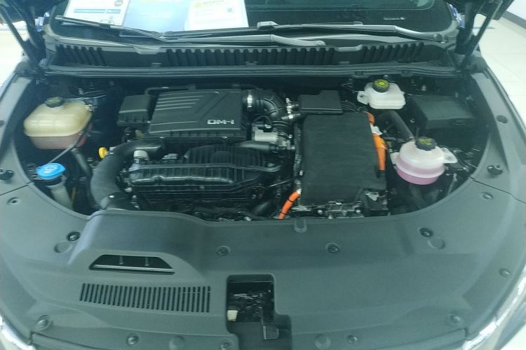 BYD Song MAX New Energy 2023 #20 BYD Song MAX New Energy 2023 car image #20