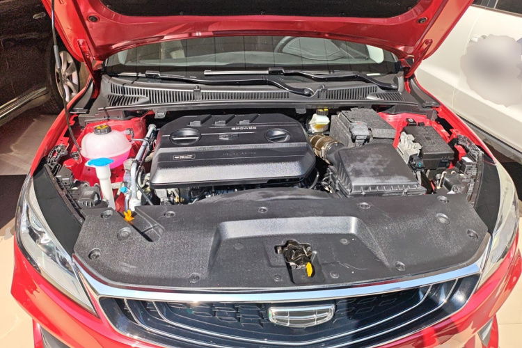 GEELY Binray 2019 #20 GEELY Binray 2019 immagine di auto #20