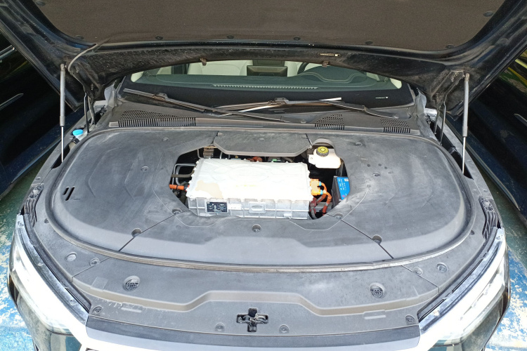 BYD e9 2021 car image #20