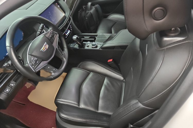 2019 #20 2019 car image #20