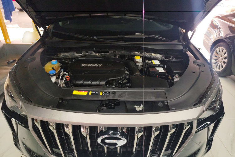 GAC Trumpchi GS4 PLUS 2021 car image #20