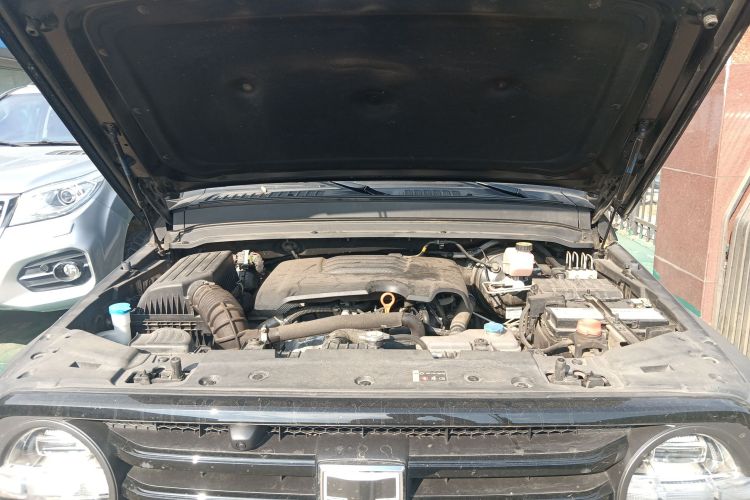 Tank 300 2021 car image #20