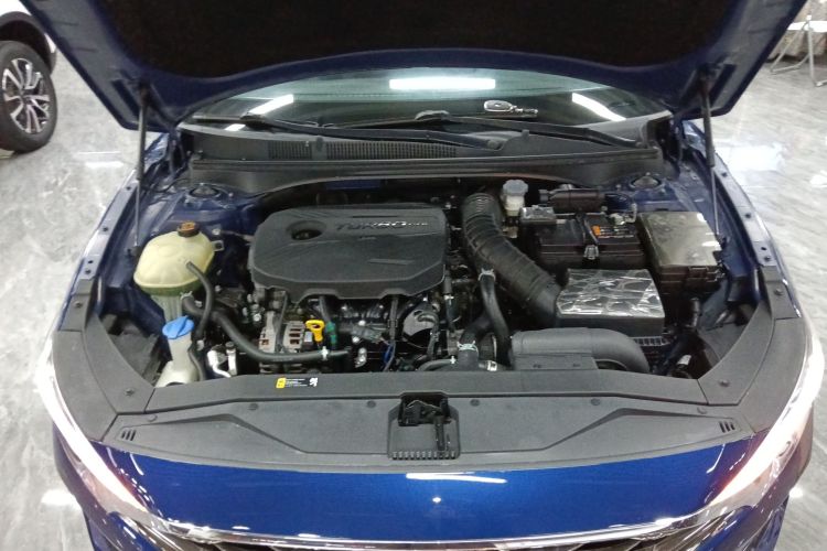 Hyundai Lafesta 2020 imagen de coche #20