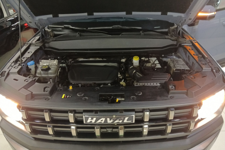 Haval Dargo 2022 car image #20