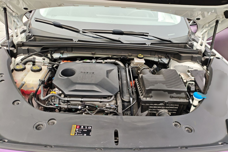 Roewe D5X DMH 2024 imagem de carro #20