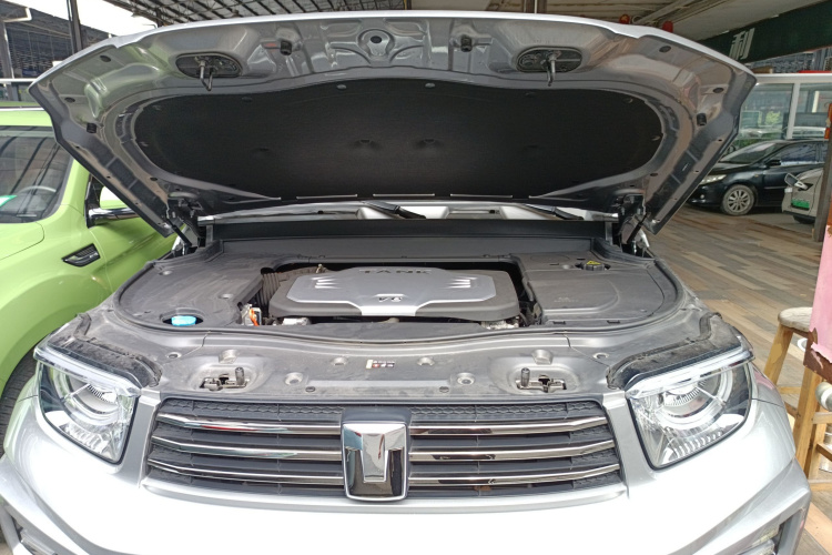 Tank 700 New Energy 2025 car image #20