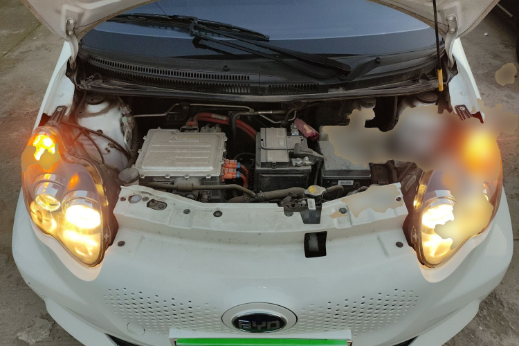 BYD e1 2021 car image #20