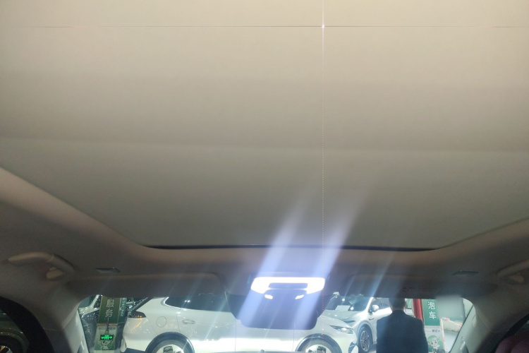 HongQi E-HS9 2021 immagine di auto #20