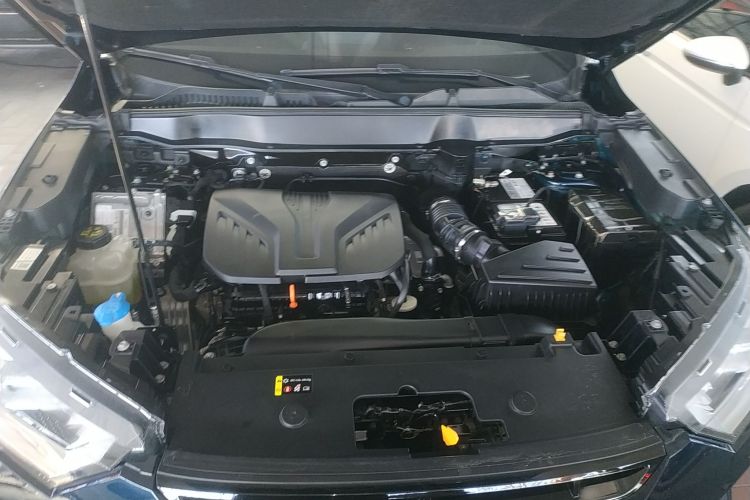 Haval H6S 2021 immagine di auto #20