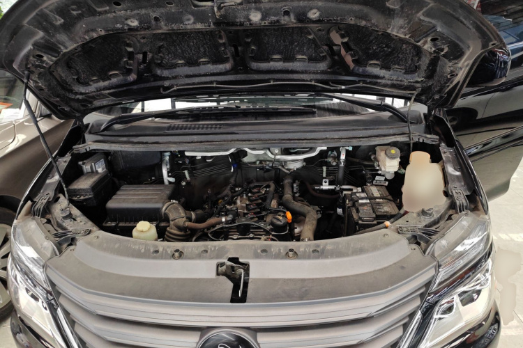 Forthing Lingzhi 2024 immagine di auto #20