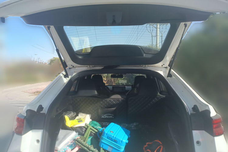 Haval H6S 2022 #20 Haval H6S 2022 car image #20